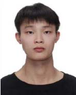 Journal of Sports Science and Medicine